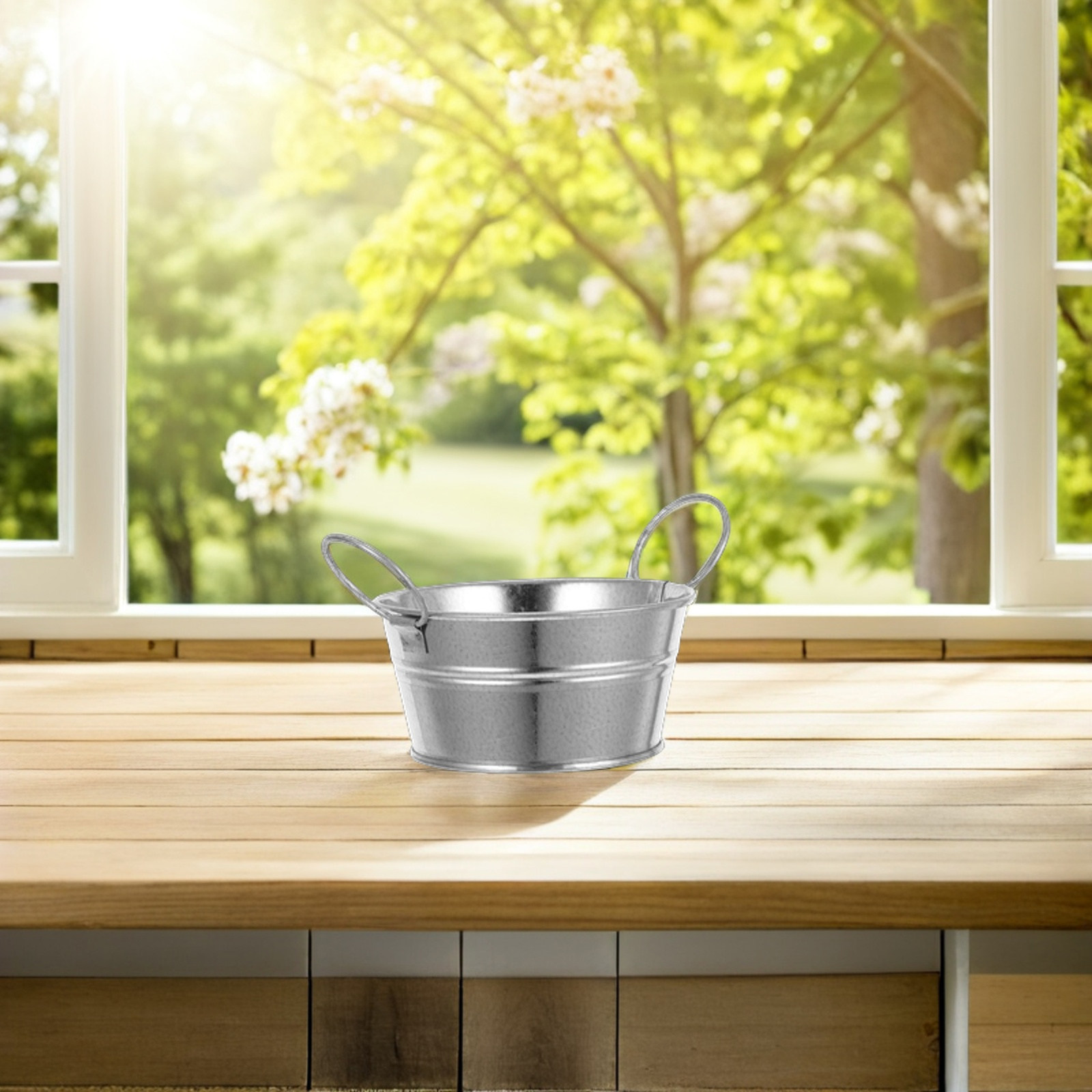 4 stuks kleine gegalvaniseerde - Succulent Arrangement Mini recensie en prijs