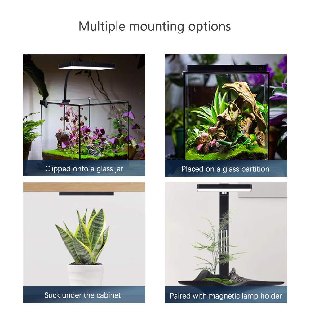 WEEK AQUA RGB + UV Nieuwe modu - Plant Parent App recensie en prijs