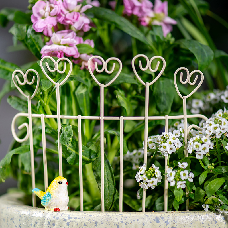 Grappige mini ijzeren bloempot - Succulent Arrangement Mini recensie en prijs