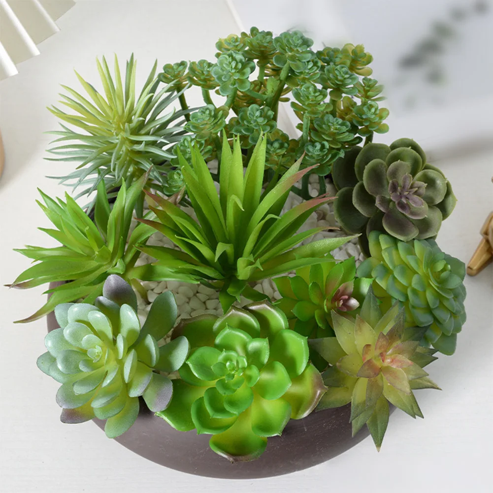 Weinig onderhoud vereiste mini - Succulent Arrangement Mini recensie en prijs