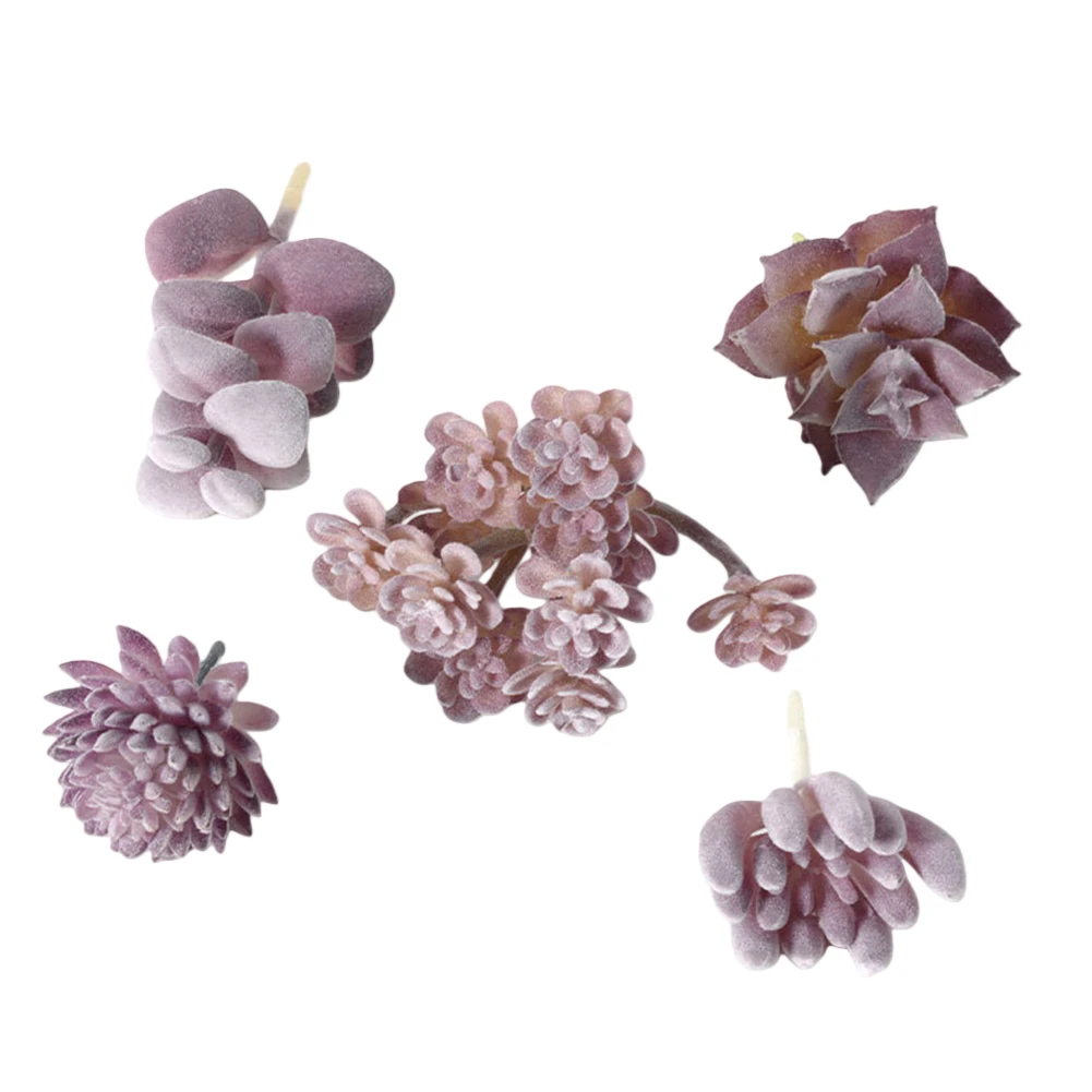 Weinig onderhoud vereiste mini - Succulent Arrangement Mini recensie en prijs