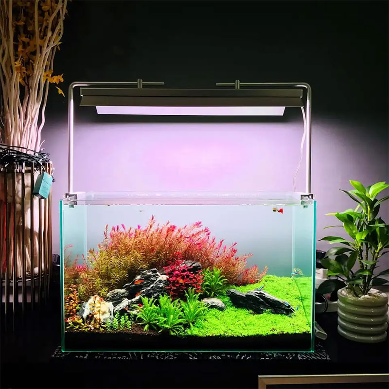 WEEK AQUA L-serie, Aquarium LE - Plant Parent App recensie en prijs