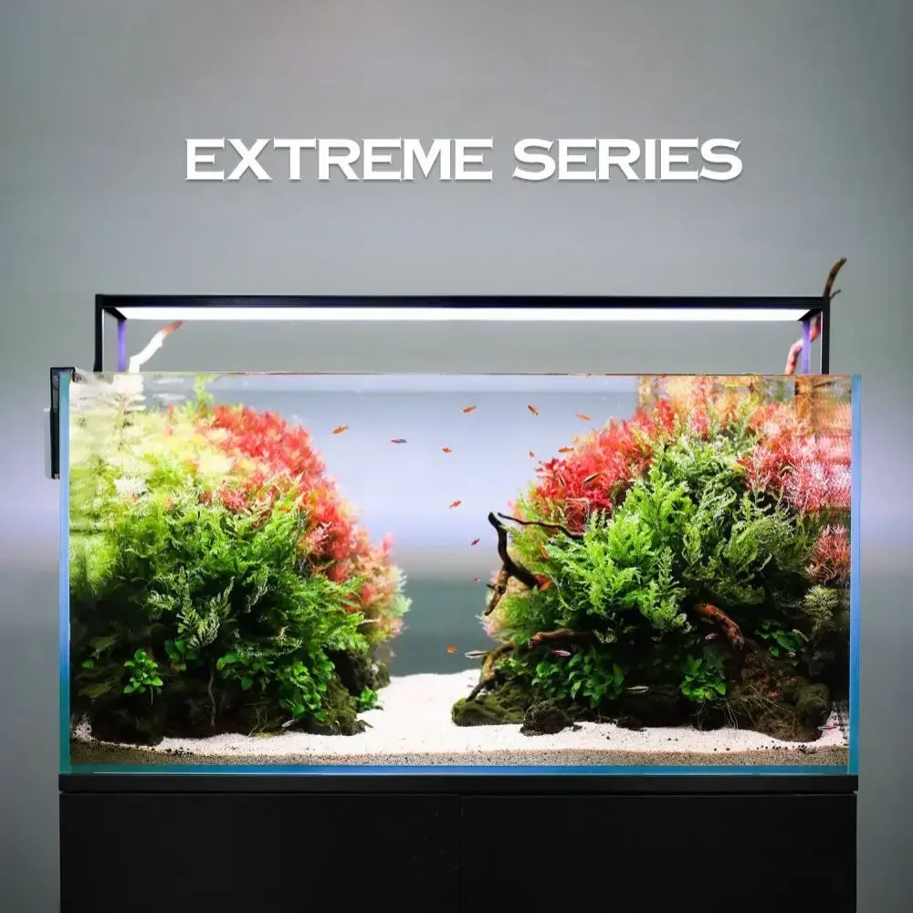 MICMOL Extreme Series II Smart - Plant Parent App recensie en prijs