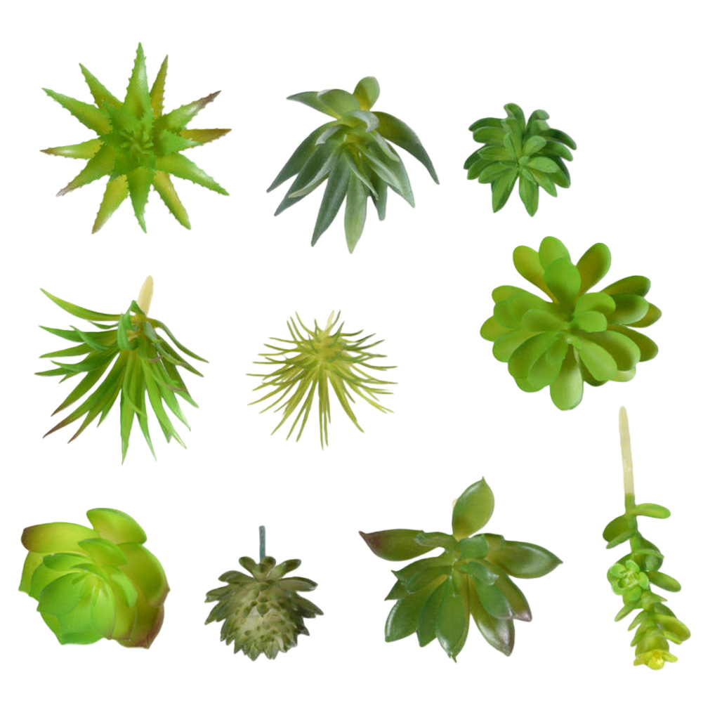 Fotografie-accessoire geschikt - Succulent Arrangement Mini recensie en prijs