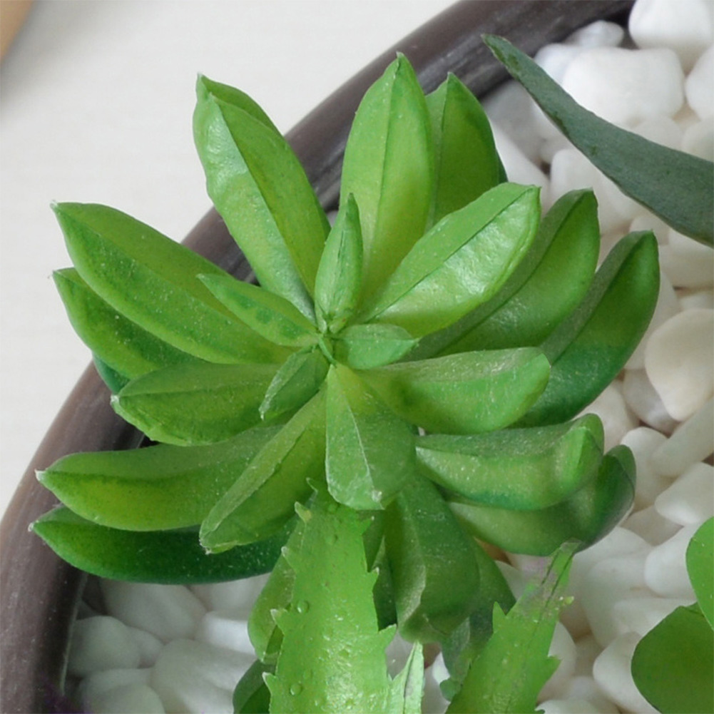 Modern kunstmatig succulentena - Succulent Arrangement Mini recensie en prijs