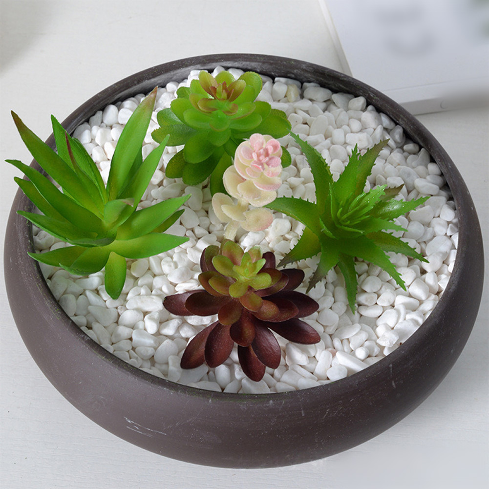 Modern kunstmatig succulentena - Succulent Arrangement Mini recensie en prijs