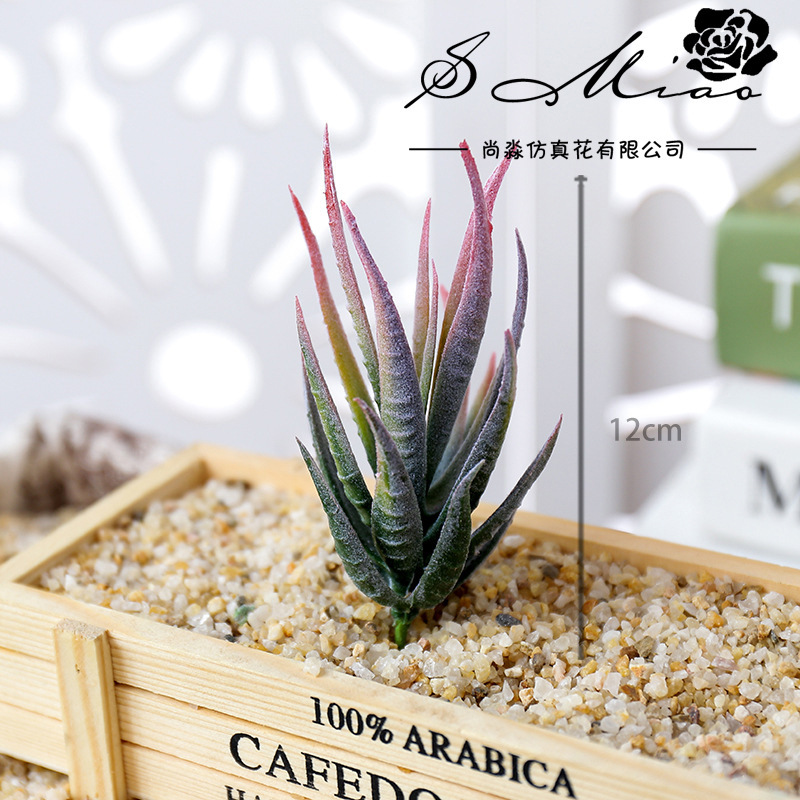 Wusmart Ban Ma Lu Hui Kunstmat - Succulent Arrangement Mini recensie en prijs
