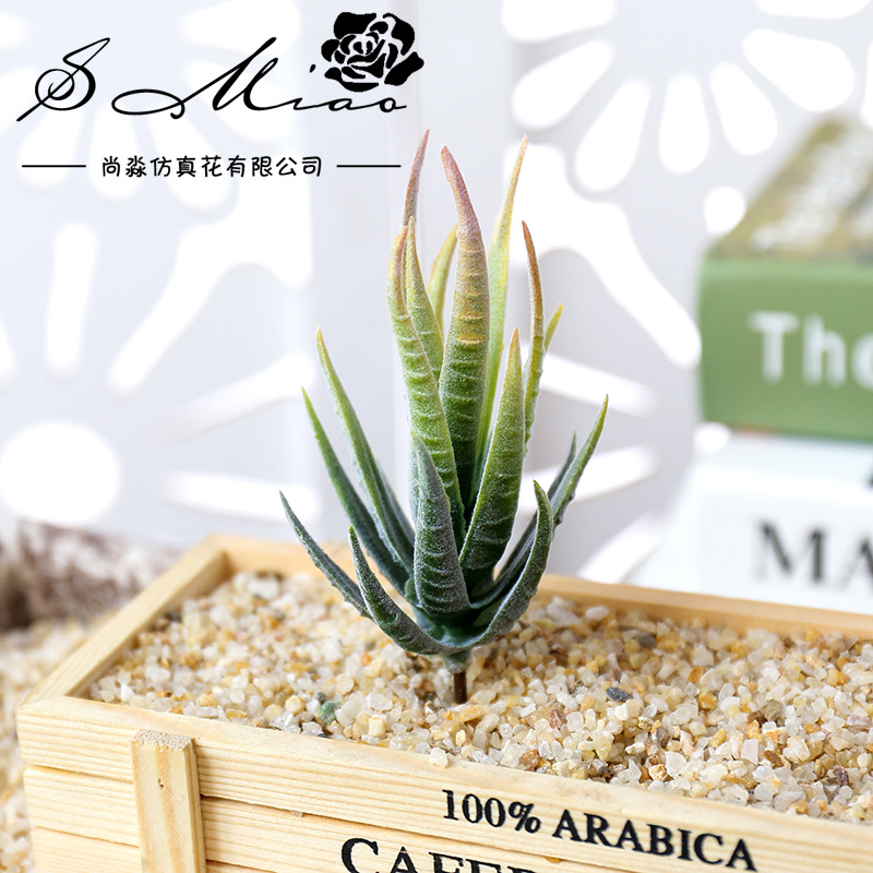 Wusmart Ban Ma Lu Hui Kunstmat - Succulent Arrangement Mini recensie en prijs